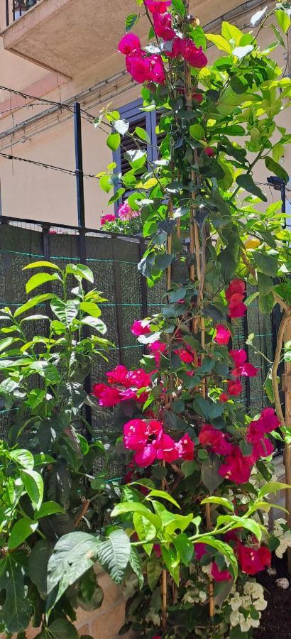 Lilibet Apartment パレルモ エクステリア 写真